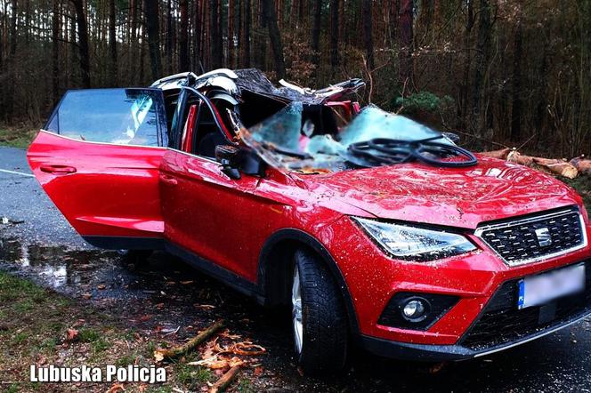 Śmiertelna ofiara wichur nad Polską. W Lubuskiem zginął mężczyzna