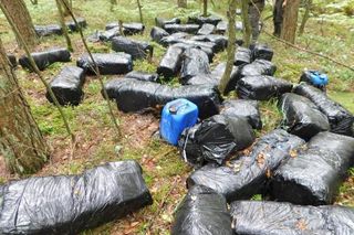 Alarm w lesie! Znaleziono pojemniki z chemikaliami. Co było w środku?