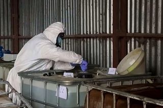 To jedno z największych laboratoriów narkotyków. Działało na obrzeżach miasta