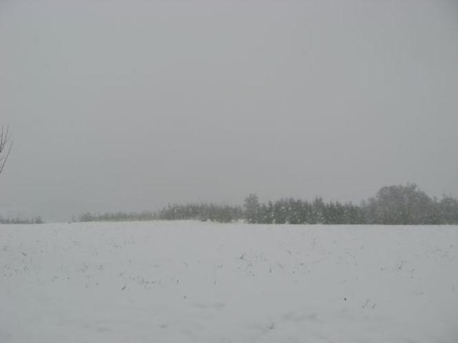 Zima w maju 2011 - zdjęcia Czytelników (Karpacz) 