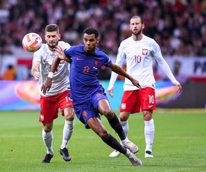 Cody Gakpo - gwiazda Holandii