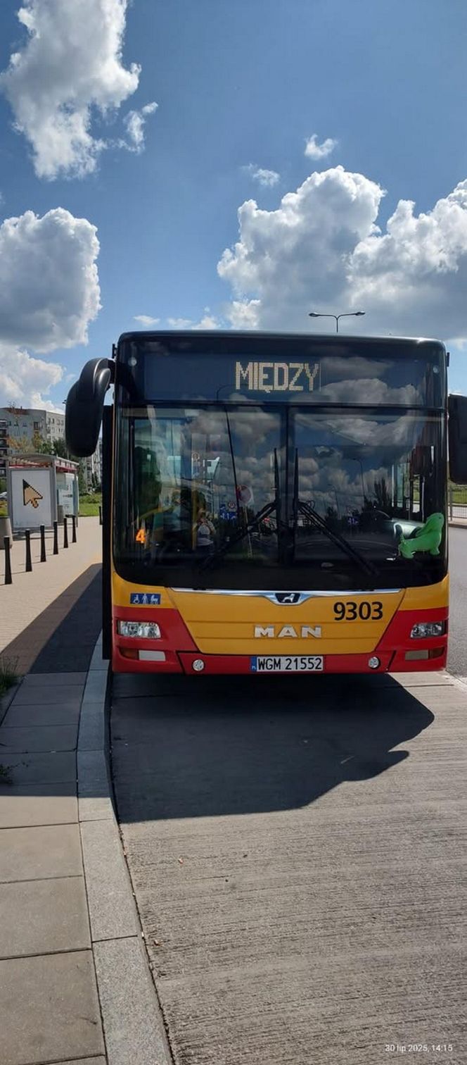  Jamnik za 799 złotych! Kierowczyni autobusu w Warszawie ukarana za maskotkę na szybie. „Chcę walczyć z tym absurdem”