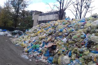 Tak wyglądało składowisko odpadów przy ulicy Wyspiańskiego w Nowym Sączu