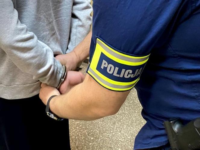 policja
