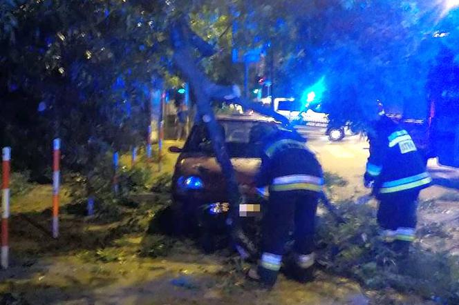 Żoliborz: Drzewo przygniotło samochód