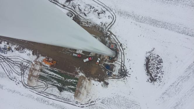 Niecodzienna interwencja strażaków. Kot na wysokości ponad 100 metrów. Jak się tam znalazł?