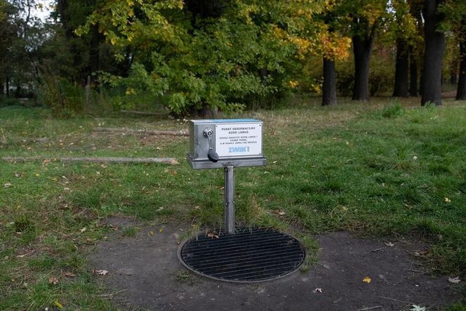 Łódź. Podziemna rzeka Lamus zostanie wydobyta na powierzchnię. Miasto obiecuje nawet pstrągi [ZDJĘCIA].