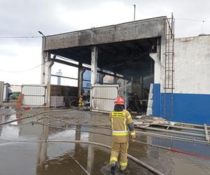 Pożar w Gdańsku, spłonęła hala spalarni odpadów niebezpiecznych Port Service