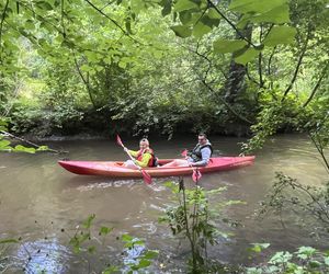 Europosłanka odpłynęła z mężem
