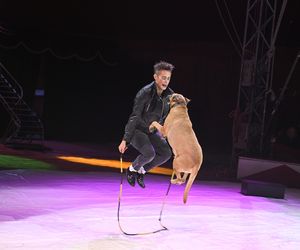 Cyrk Zalewski. Oto artyści 25. Międzynarodowego Festiwalu Sztuki Cyrkowej w Warszawie