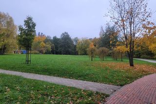 To najlepszy park w Olsztynie na jesienny spacer. Wyboru dokonała sztuczna inteligencja