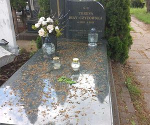 Aleja Zasłużonych Doły