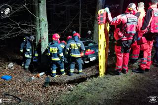 BMW rozbiło się na drzewie. 26-letni kierowca trafił do szpitala [ZDJĘCIA]