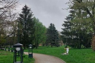 Eryk R. z Zamościa, 16-letni syn gwiazdy disco polo, pobity na śmierć