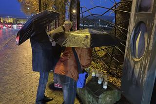 Lisotpadowe światło pamięci po raz 11. 