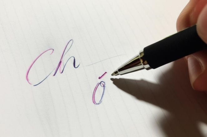 Quiz. Sprawdzian z ortografii. Zagnie nawet mistrzów! 