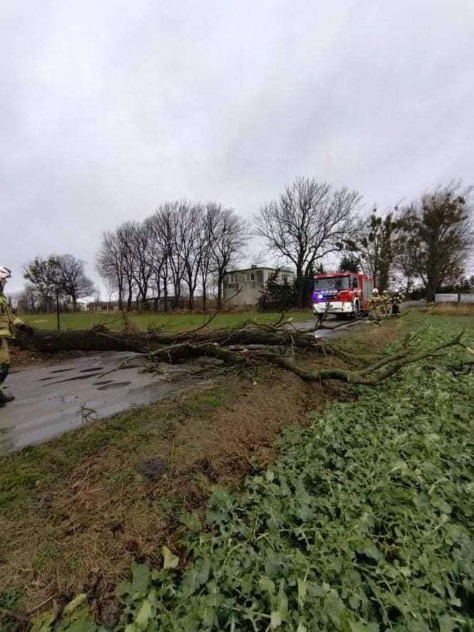 Drzewa na samochodach, zerwane dachy, brak prądu. Skutki wichury w Toruniu i okolicach