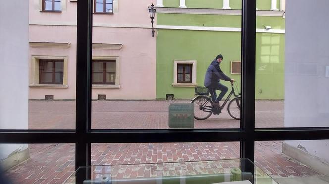 Zamość