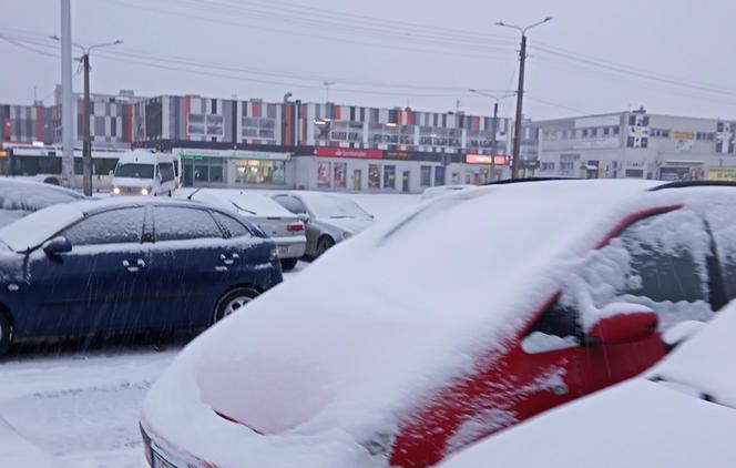 Zima w Świętokrzyskiem. Skarżysko-Kamienna w białym puchu. Zobacz zdjęcia