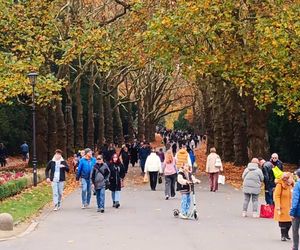 1 listopada na Cmentarzu Centralnym w Szczecinie