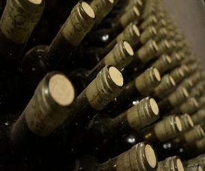 Popularny producent wina ogłosił bankructwo. Tego napoju bogów możemy już nie wypić