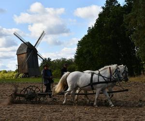 Smaki jesieni w skansenie. Zobacz, co działo się na imprezie w Olsztynku [ZDJĘCIA]