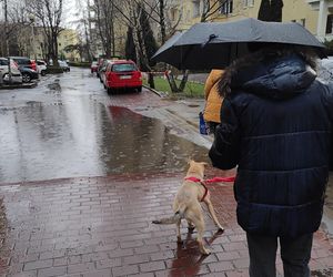 Ogromne opady w środku lata! Prognoza dla Polski może przerażać. To za sprawą niżu genueńskiego