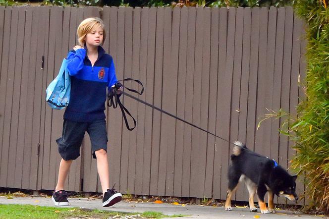 Shiloh, córka Angeliny Jolie i Brada Pitta wygląda jak chłopiec