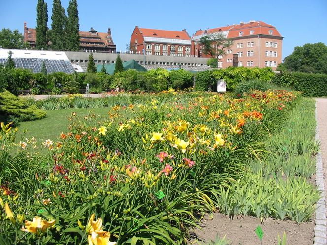 Ogród Botaniczny Uniwersytetu Wrocławskiego 