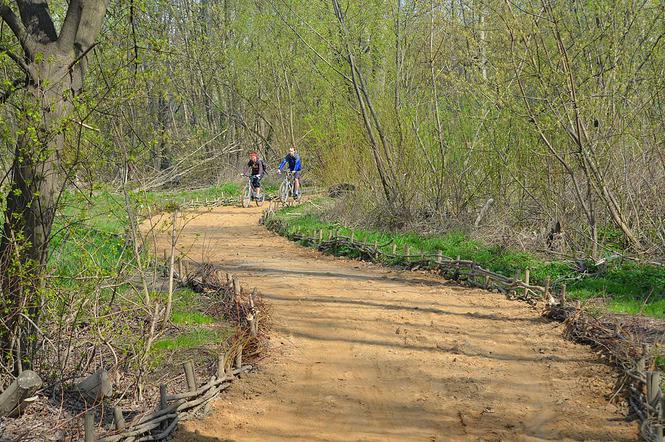 Bieganie w Warszawie: 10 najlepszych tras na poranny jogging [GALERIA]