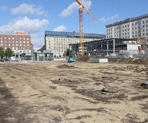 Zielona oaza na placu Powstańców Warszawy
