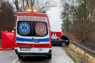 Borucino. Dwie osoby zginęły w śmiertelnym wypadku pod Kartuzami [ZDJĘCIA]