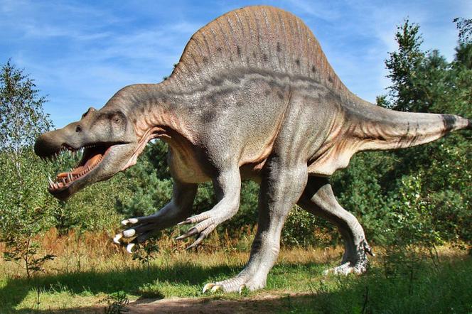 Dinozaury opanują zielonogórskie Centrum Przyrodnicze