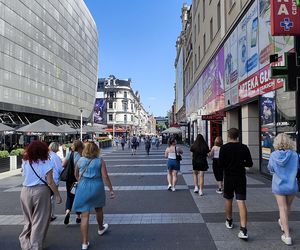 Katowice jak patelnia. Obowiązuje ruch cieniostronny. Nawet gołębie chowają się w cieniu