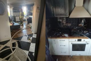 Pożar kuchni w bloku. Strażacy wynieśli kota z zadymionego mieszkania