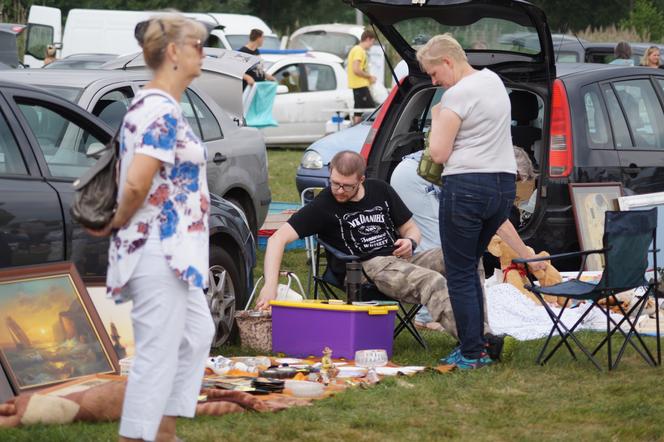 Pchli targ pod Bydgoszczą [ZDJĘCIA]