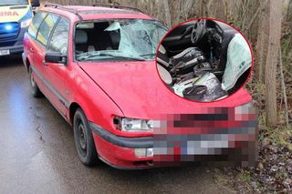 Seria śmiertelnych wypadków na Pomorzu. W gronie domniemanych sprawców nietrzeźwi kierowcy [ZDJĘCIA] 