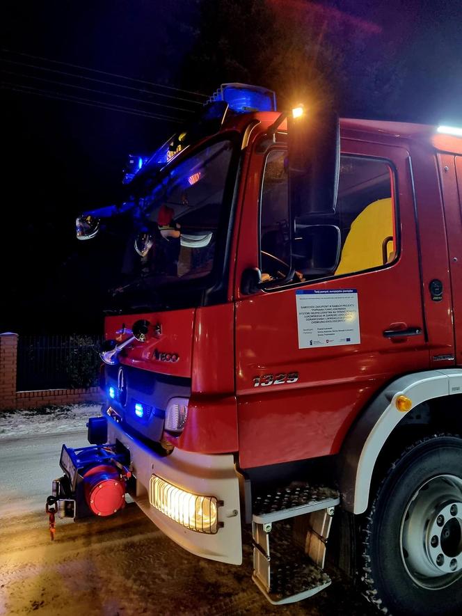 Lubelskie. Sarenka wpadła do stawu. Strażacy ruszyli na ratunek