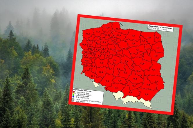 Cała Polska na czerwono. Najwyższy stopień zagrożenia pożarowego 