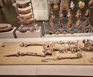 Tak wyglądał człowiek 30 tys. lat temu! 