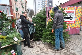 Morawiecki kupuje choinkę na święta