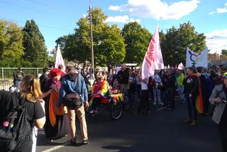 Marsz Równości w Toruniu