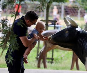 Miłosz Motyka. Energia rozpiera ministra