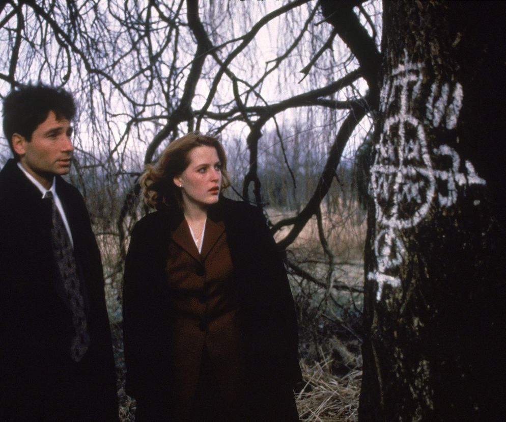 Wyleczony seksoholik i alergik, ale my go kochamy nie za to. David Duchovny kończy 65 lat