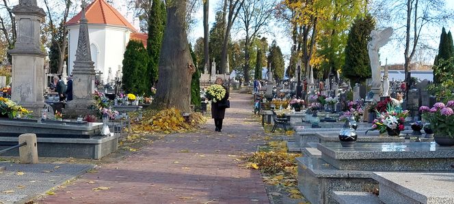 Przygotowania do Wszystkich Świętych Zamość