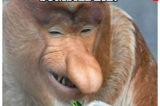 Memy po odpadnięciu Niemców z mistrzostw świata