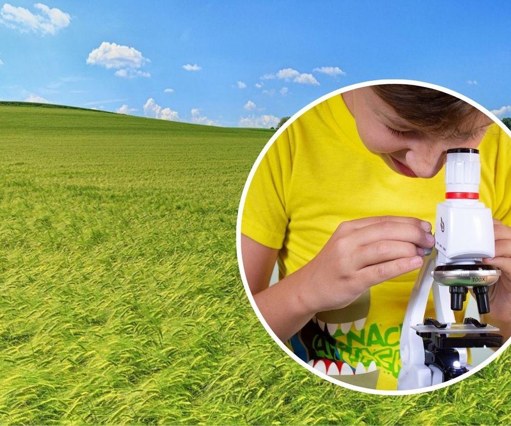 Gdańsk zaprasza na Piknik Fahrenheita. W programie eksperymenty, pokazy, quizy i nowoczesne technologie