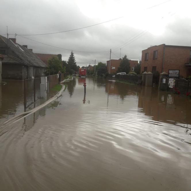 Bączylas w pow. gostyńskim walczy z wodą