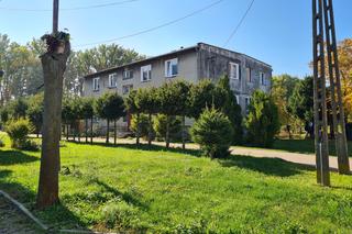 Oszustwo na amerykańską żołnierkę [GALERIA]