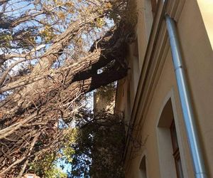 Polska pod naporem wichur! Strażacy nie mieli chwili wytchnienia